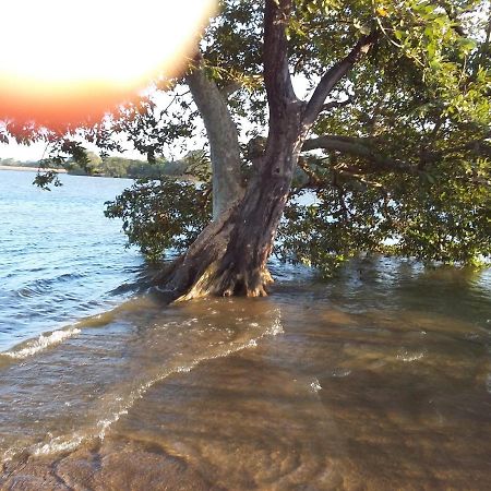 Niduwari Lake Homestay Dambulla Eksteriør bilde