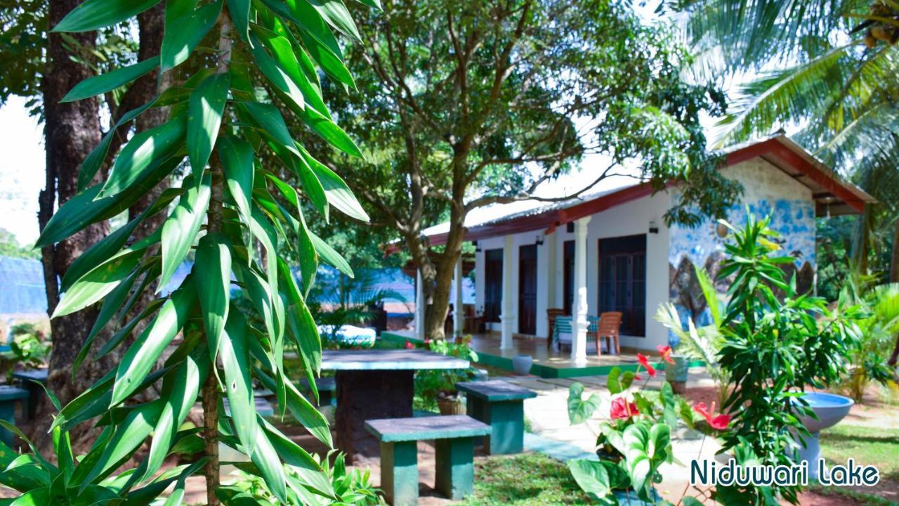 Niduwari Lake Homestay Dambulla Eksteriør bilde