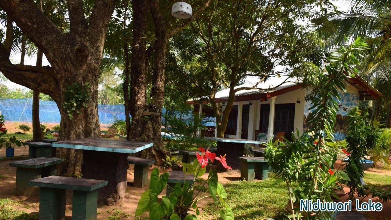 Niduwari Lake Homestay Dambulla Eksteriør bilde