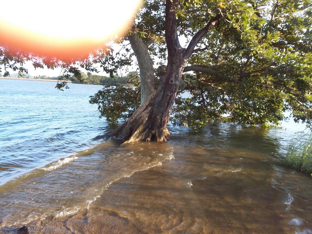 Niduwari Lake Homestay Dambulla Eksteriør bilde